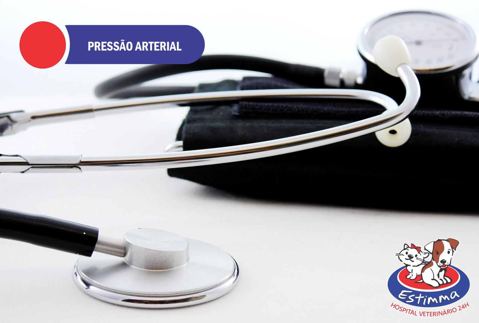 Entenda como e por que aferir a pressão arterial do seu pet!