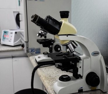 Exames veterinários Estimma.