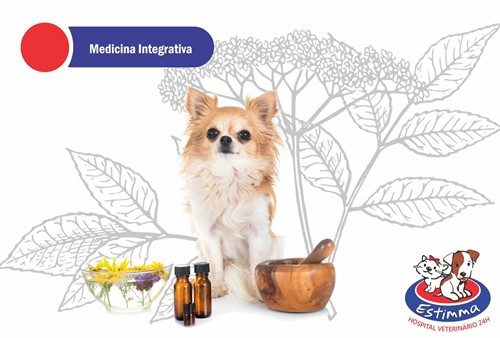 Medicina Integrativa Veterinária