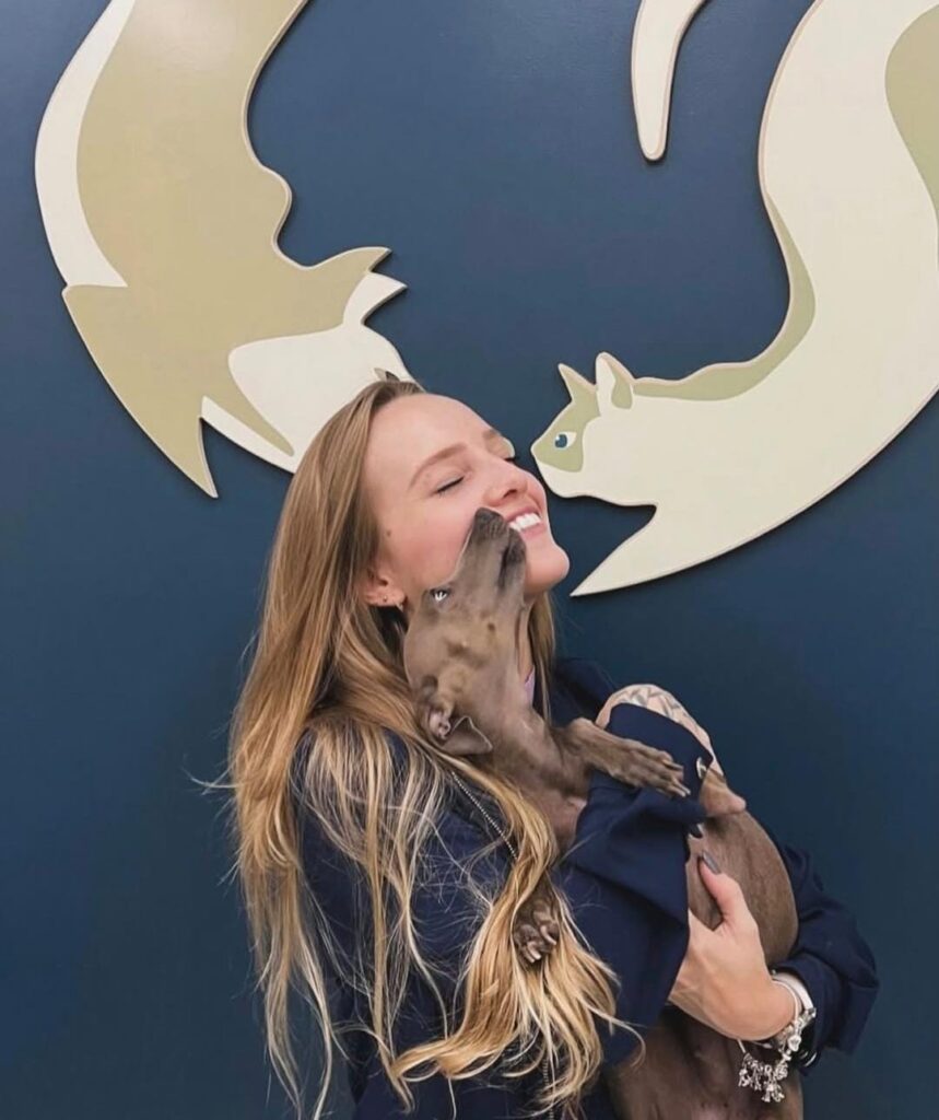 Entenda quando procurar atendimento em uma clínica veterinária em Campinas!
