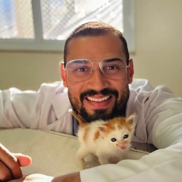 Entenda o que é, como prevenir e como cuidar de FIV e Felv em gatos!