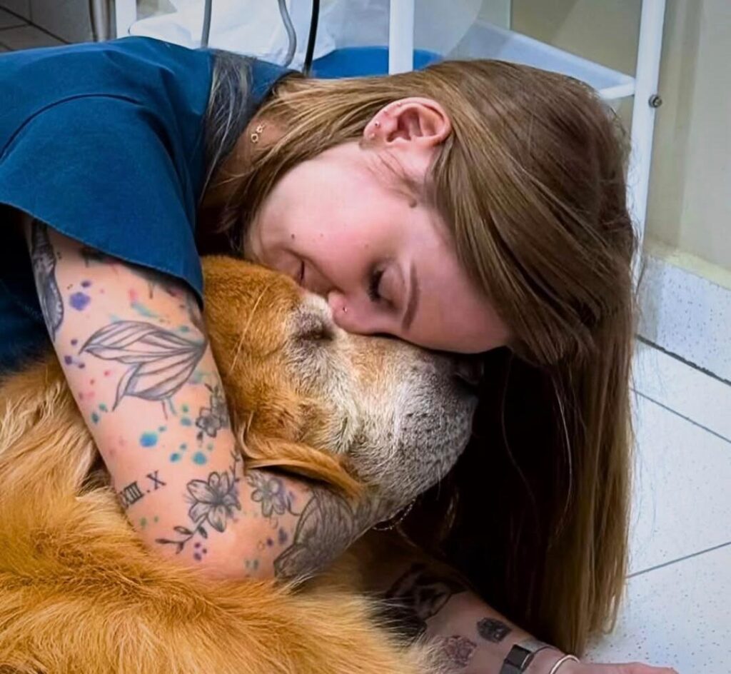 Saiba reconhecer os principais sinais de envelhecimento em cães!