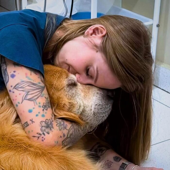 Saiba reconhecer os principais sinais de envelhecimento em cães!