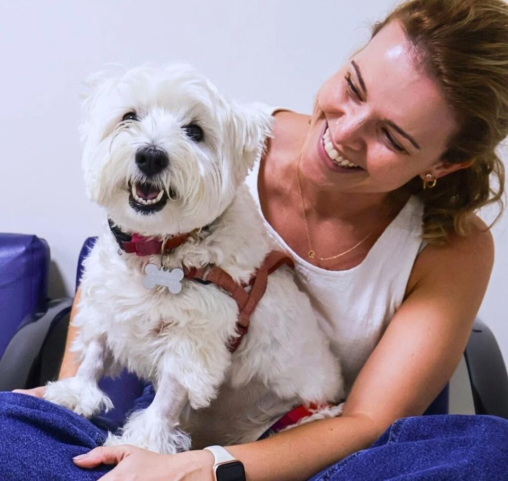 Conheça os principais sintomas da conjuntivite em cães!