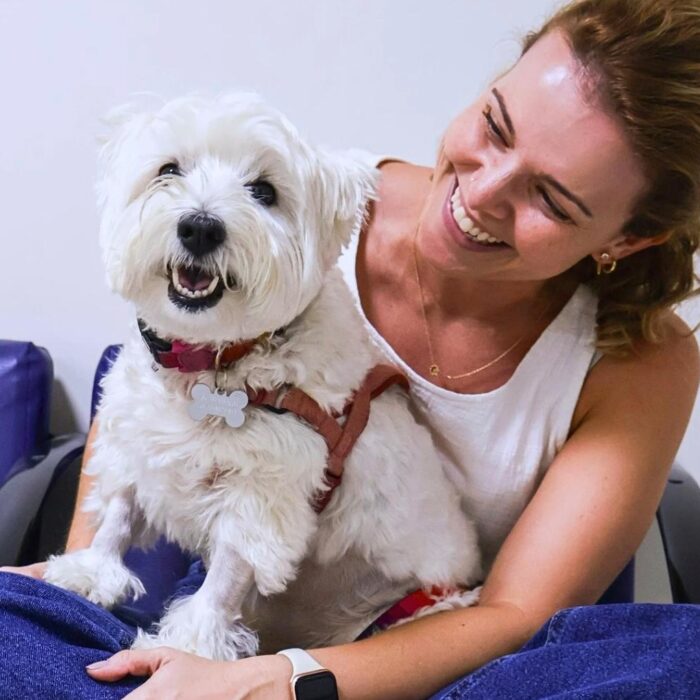 Conheça os principais sintomas da conjuntivite em cães!
