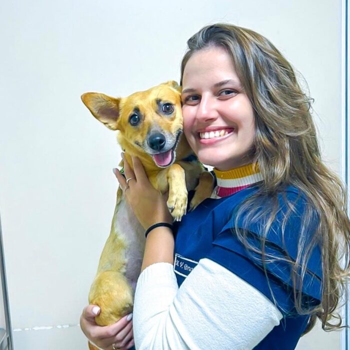 Diferença entre clínica geral e especialista veterinário: entenda as principais!