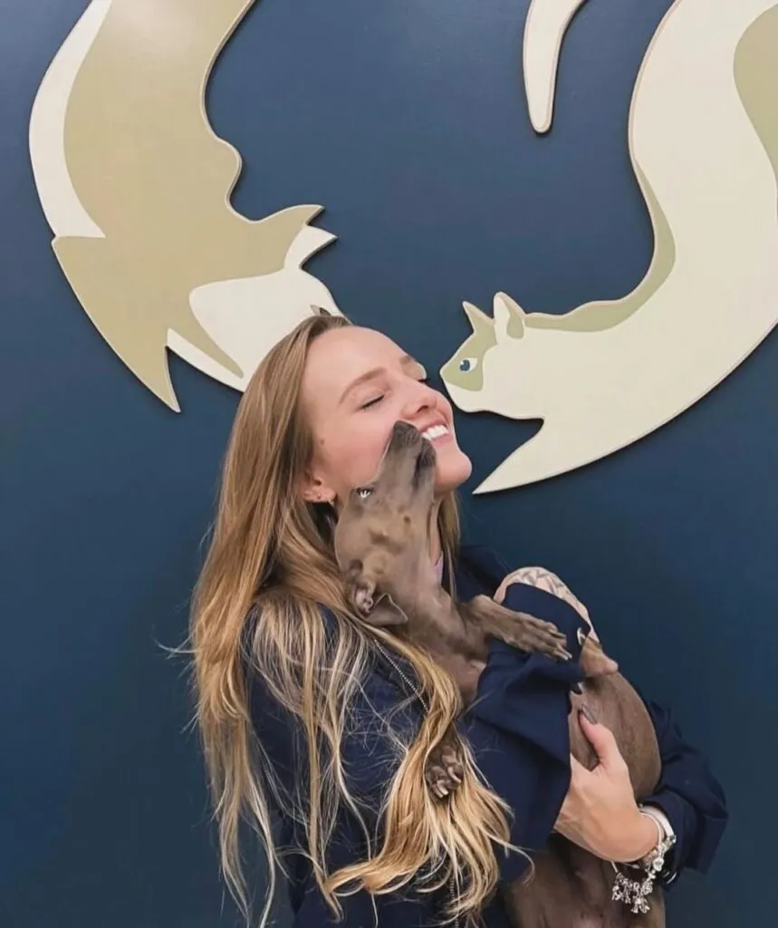 Entenda quando procurar atendimento em uma clínica veterinária em Campinas!