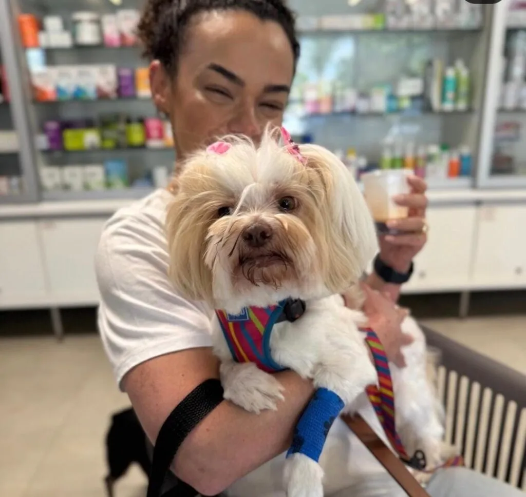 Entenda como optar por um lugar cuidadoso e responsável na hora de procurar emergência veterinária em Campinas!