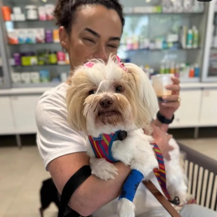 Entenda como optar por um lugar cuidadoso e responsável na hora de procurar emergência veterinária em Campinas!