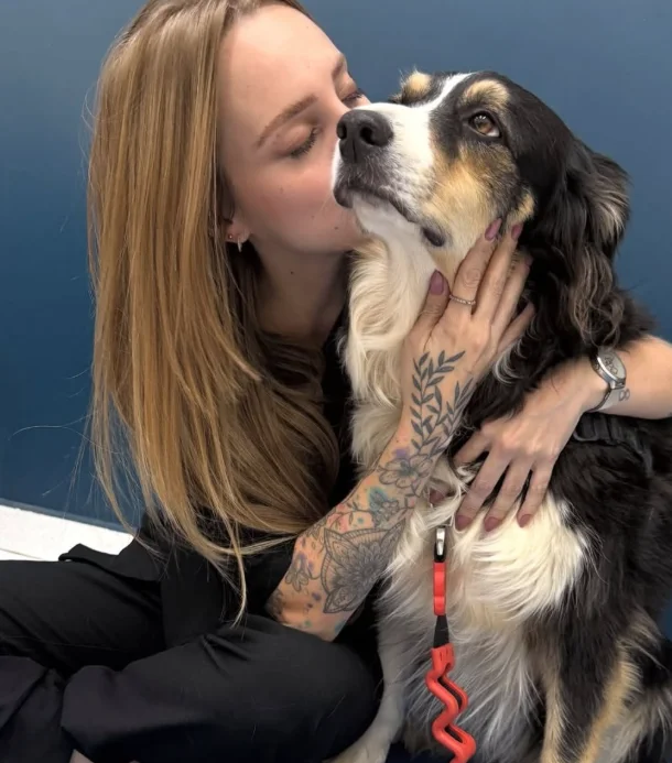 Pulgas e carrapatos: como prevenir e tratar